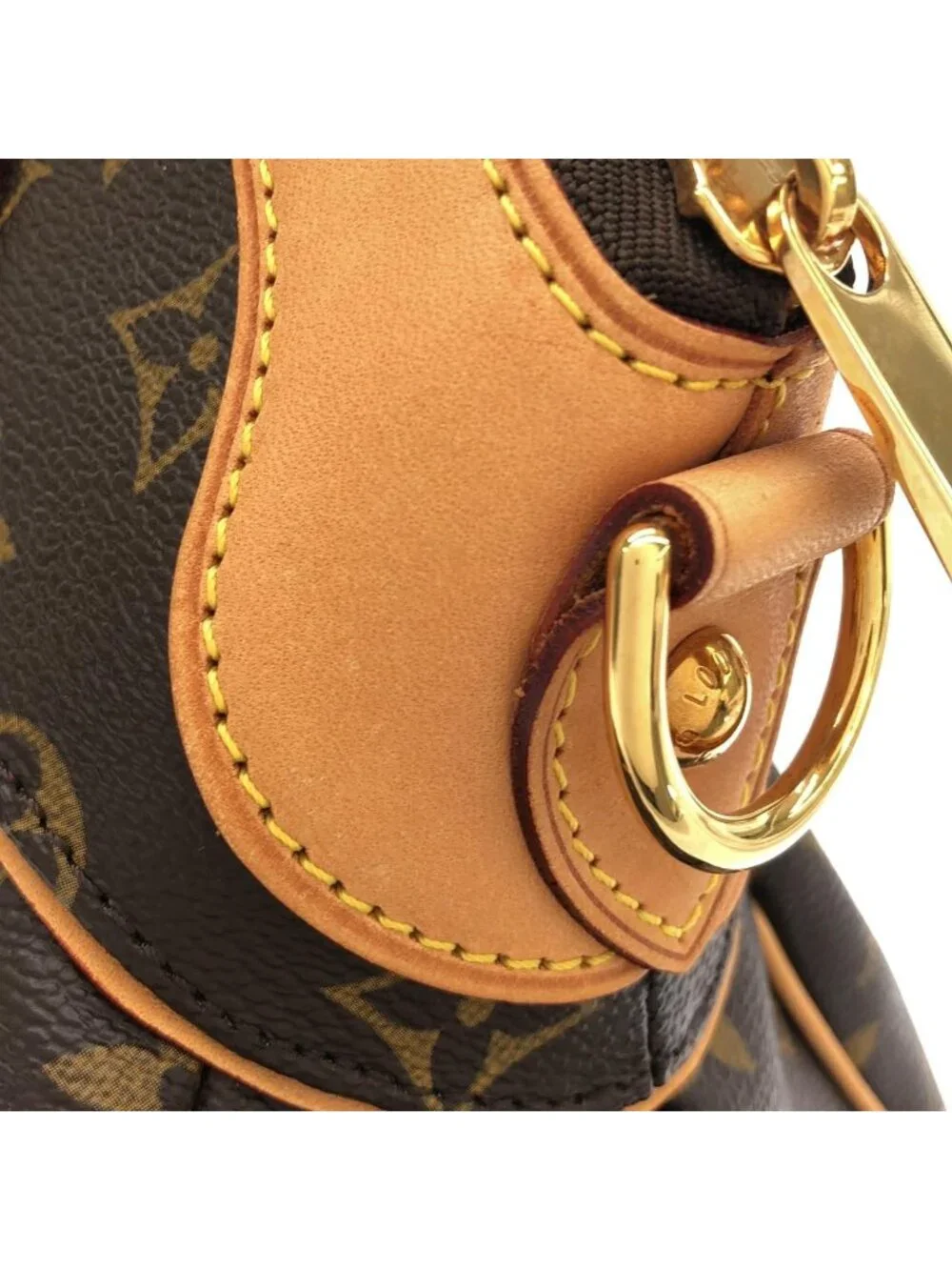 Louis Vuitton Monogram Trevi PM Bag